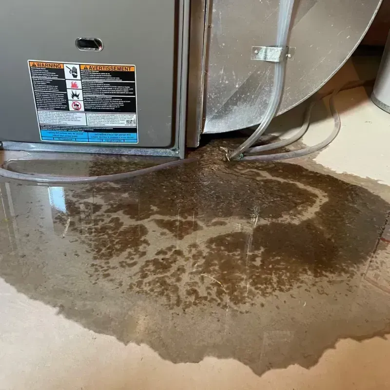 Appliance Leak Cleanup in Wathena, KS